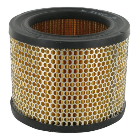 Filtre à air TORO FGP011789