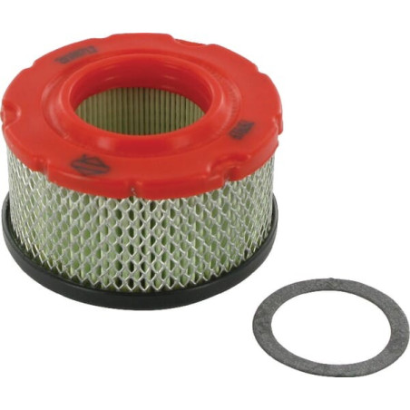 Filtre à air rond BRIGGS ET STRATTON 797819