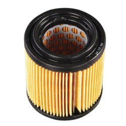 Filtre à air rond BRIGGS ET STRATTON 797427