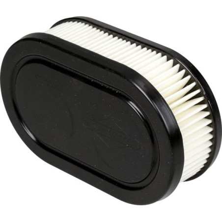 Filtre à air ovale BRIGGS ET STRATTON 593260