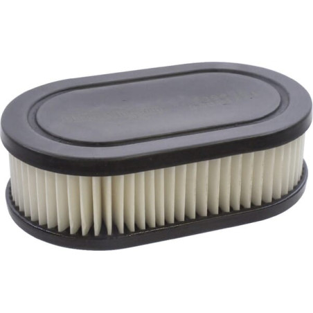 Filtre à air ovale BRIGGS ET STRATTON 593260