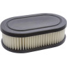Filtre à air ovale BRIGGS ET STRATTON 593260