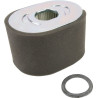 Filtre à air BRIGGS ET STRATTON 799818