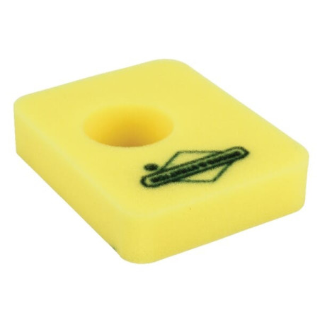 Filtre à air BRIGGS ET STRATTON 799579