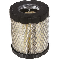 Filtre à air BRIGGS ET STRATTON 798897