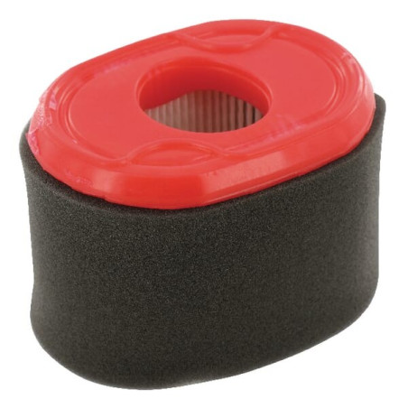 Filtre à air BRIGGS ET STRATTON 796970