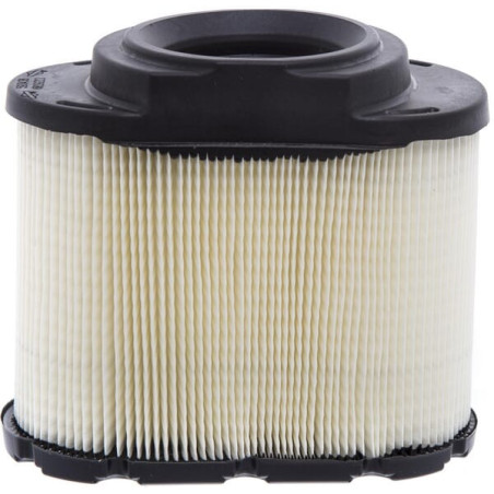 Filtre à air BRIGGS ET STRATTON 593240