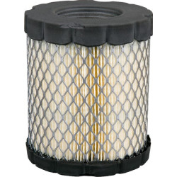 Filtre à air BRIGGS ET STRATTON 4250