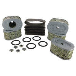 Filtre à air BRIGGS ET STRATTON 4239