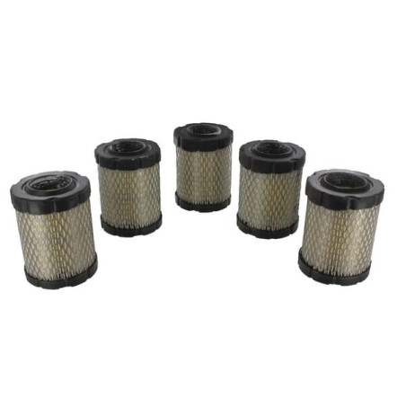 Filtre à air BRIGGS ET STRATTON 4269