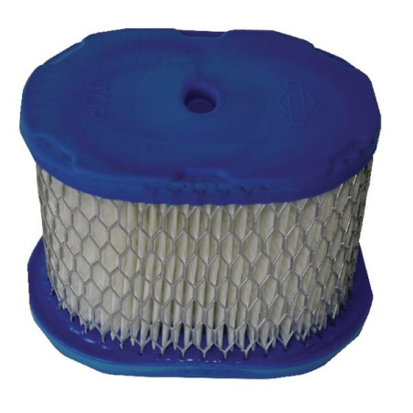 Filtre à air BRIGGS ET STRATTON 4207WM
