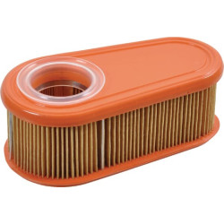 Filtre à air BRIGGS ET STRATTON 795066