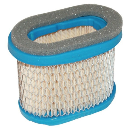 Filtre à air BRIGGS ET STRATTON 697029