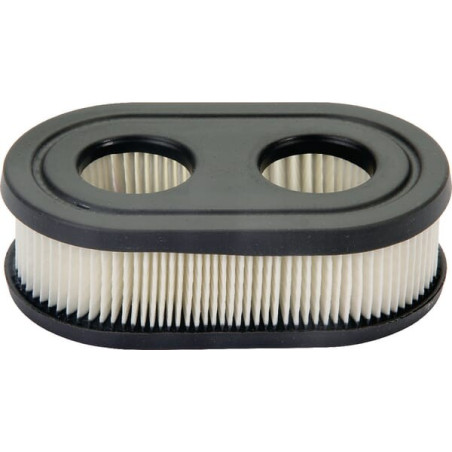 Filtre à air BRIGGS ET STRATTON 593260M