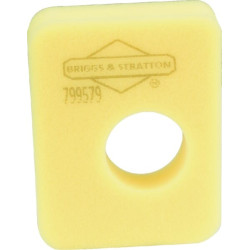 Filtre à air BRIGGS ET STRATTON 799579M