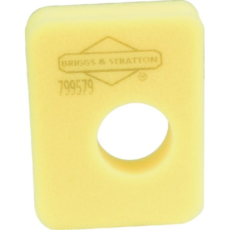 Filtre à air BRIGGS ET STRATTON 799579M