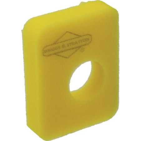Filtre à air BRIGGS ET STRATTON 799579M