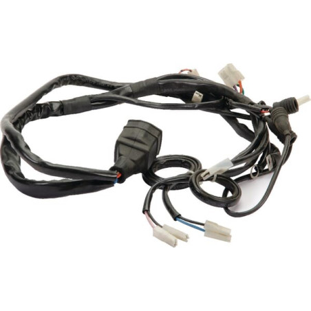 Faisceau moteur ETESIA ET29876