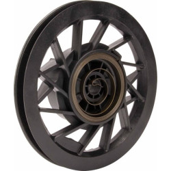 Ensemble poulie/ressort BRIGGS ET STRATTON 799975