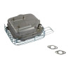 Echappement BRIGGS ET STRATTON 793701