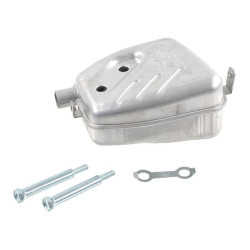 Echappement BRIGGS ET STRATTON 793679