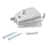 Echappement BRIGGS ET STRATTON 793679