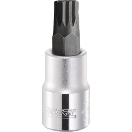 Douille M16 - 55mm EXPERT E031973