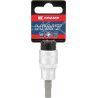 Douille de tournevis 1/2" - 7mm UNIVERSEL 18060135007KR