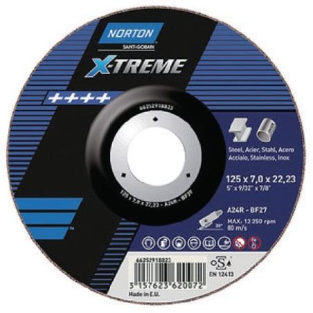 Disque abrasif NORTON 66252918825