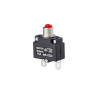 Disjoncteur thermique BRIGGS ET STRATTON 103914GS