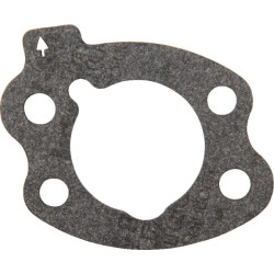 Dichtung luftfilter briggs BRIGGS ET STRATTON 844931