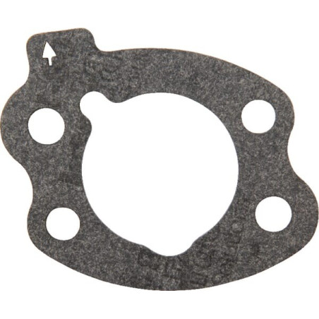 Dichtung luftfilter briggs BRIGGS ET STRATTON 844931