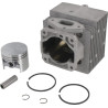 Cylindre complet GOPART 42030201201GP