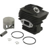 Cylindre complet GOPART 41190201202GP