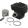 Cylindre complet GOPART 41190201202GP