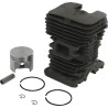 Cylindre complet GOPART 11300201207GP