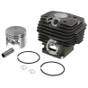 Cylindre complet GOPART 11190201204GP