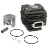 Cylindre complet GOPART 11190201204GP