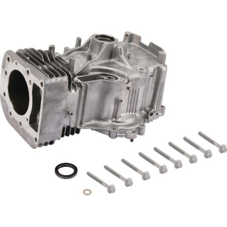 Cylindre BRIGGS ET STRATTON 796010