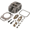 Culasse BRIGGS ET STRATTON 809201