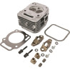 Culasse BRIGGS ET STRATTON 809201