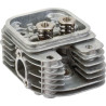 Culasse BRIGGS ET STRATTON 809200WM
