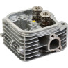 Culasse BRIGGS ET STRATTON 809200WM