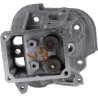 Culasse BRIGGS ET STRATTON 799859