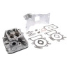 Culasse BRIGGS ET STRATTON 796026