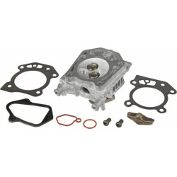 Culasse BRIGGS ET STRATTON 597561