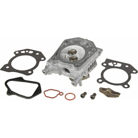 Culasse BRIGGS ET STRATTON 597561