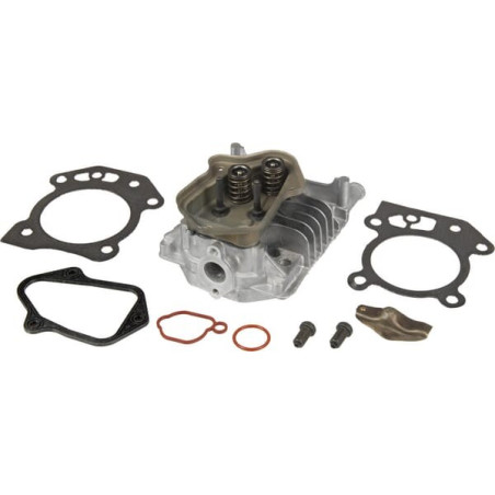 Culasse BRIGGS ET STRATTON 597561