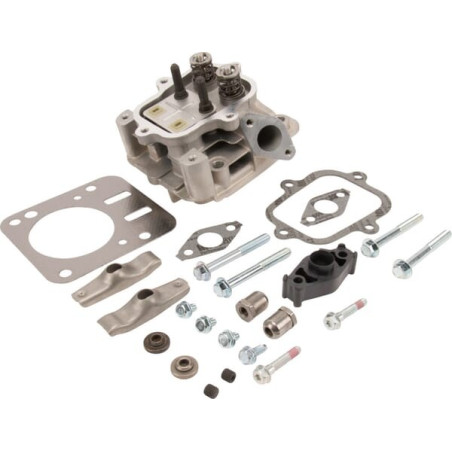 Culasse BRIGGS ET STRATTON 594514