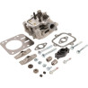 Culasse BRIGGS ET STRATTON 594514
